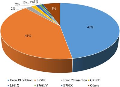 Understanding the treatment response and resistance to targeted therapies in non-small cell lung cancer: clinical insights and perspectives